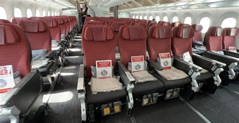 JAL 787: cushy for longhaul economy but could use .